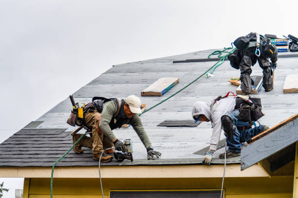 Professional Roofing technician working in Shelbyville, MI